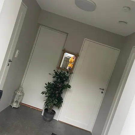 Ny Hybel Leilighet Med Eget Bad Og Egen Inngang Affittacamere Moss
